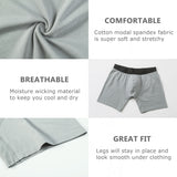 Alpine Swiss Mens Boxer Briefs 3 Pack Underwear Breathable Comfortable Trunks – Gray