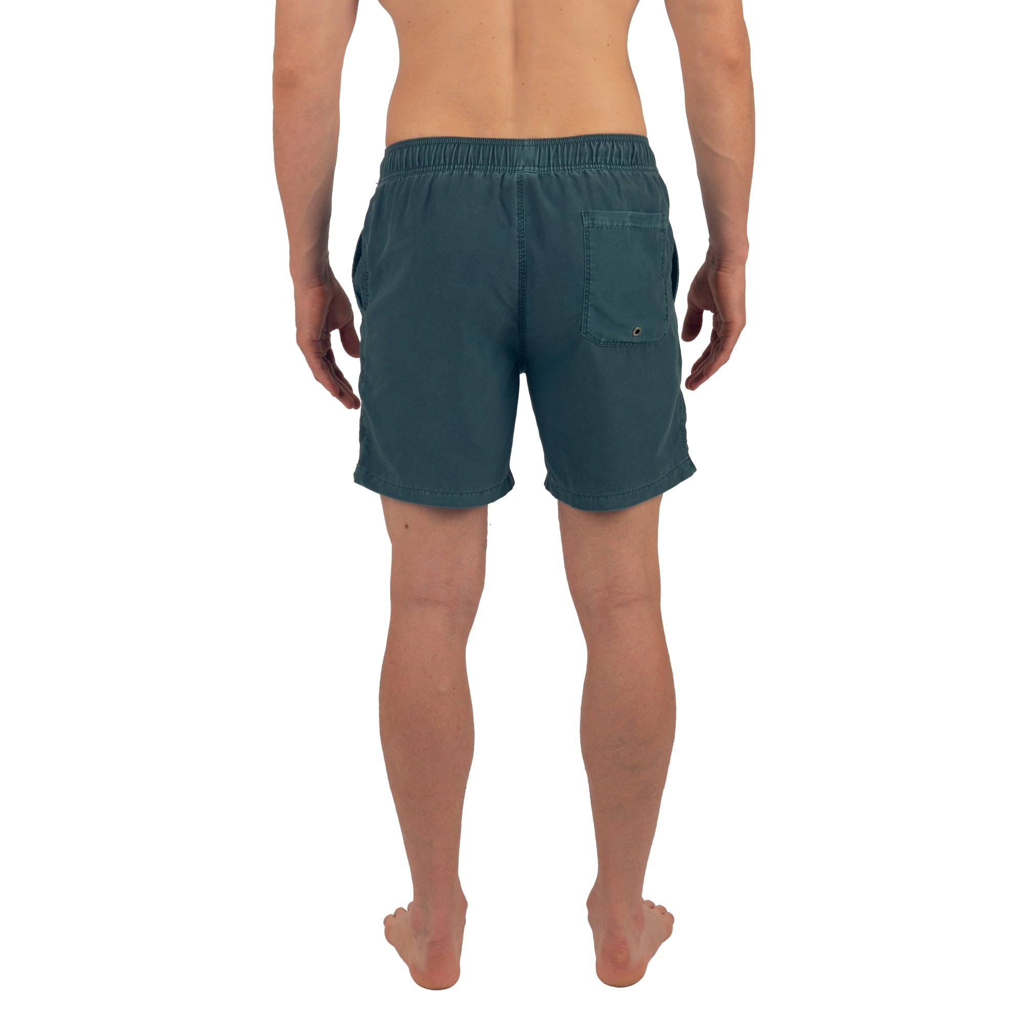 Alpine Swiss Mens Swim Shorts Beach Trunks Boardshorts Volley