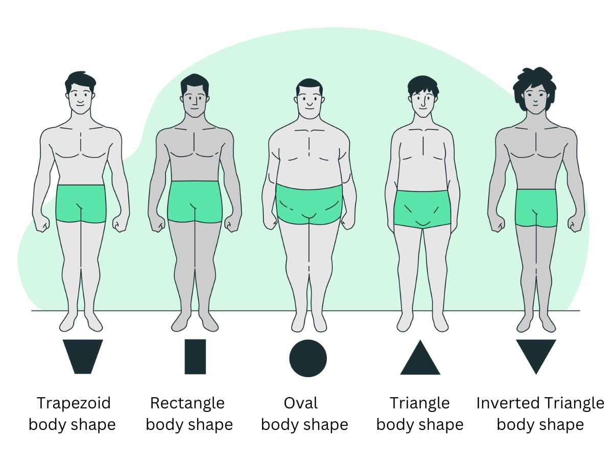 Male Body Types Pictures  Men's Body Shapes Images